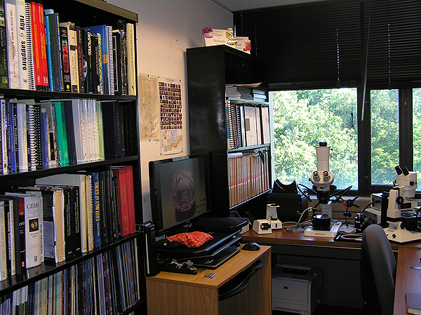 The Gemological Working Library.