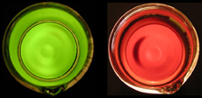 Transmitted light through chlorophyll solution.