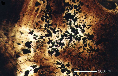 Magnetite-hercynite black platelets associated with the needles in black star sapphire.