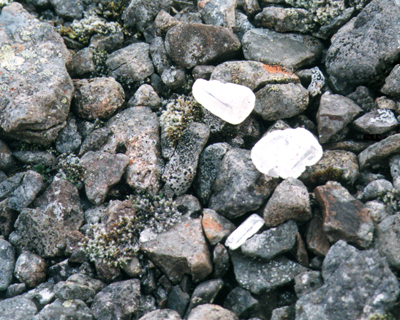 Calcite in the Iceland Scree.